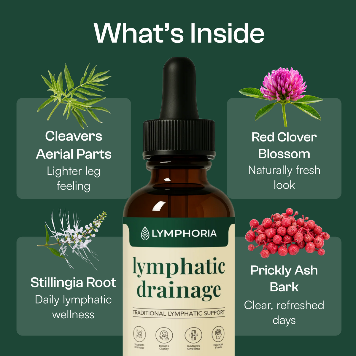 Lymphoria Lymphatic Drainage Drops