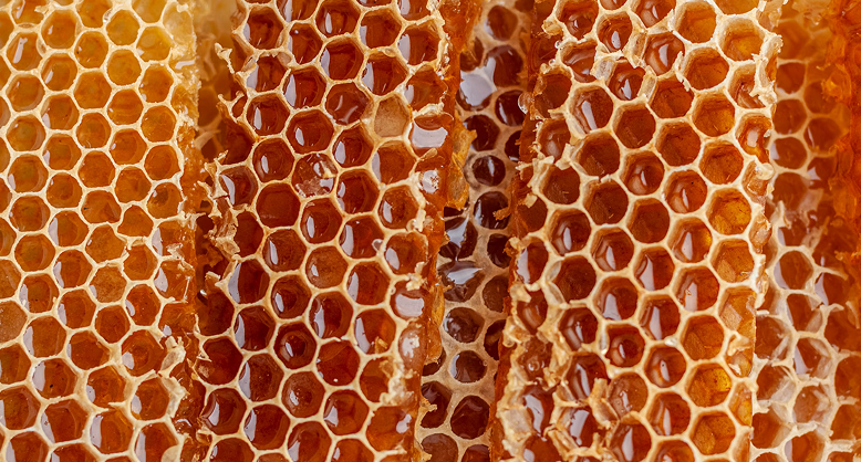 Honey-Flavored